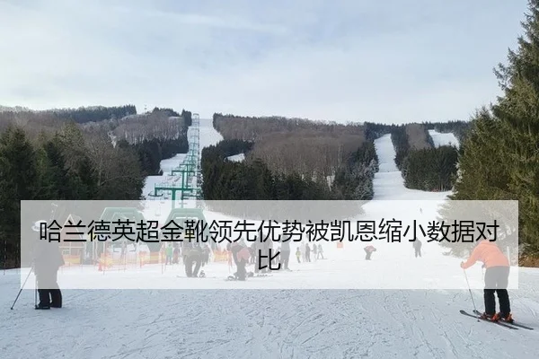 ha-lan-de-ying-chao-jin-xue-ling-xian-you-shi-bei-kai-en-suo-xiao-shu-ju-dui-bi-2-177.jpg