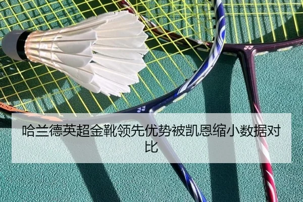 ha-lan-de-ying-chao-jin-xue-ling-xian-you-shi-bei-kai-en-suo-xiao-shu-ju-dui-bi-3-925.jpg