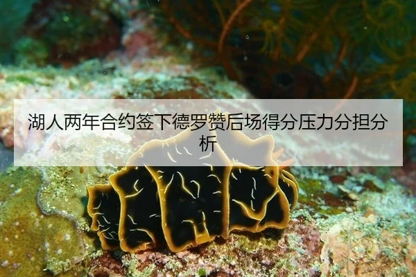 湖人两年合约签下德罗赞后场得分压力分担分析